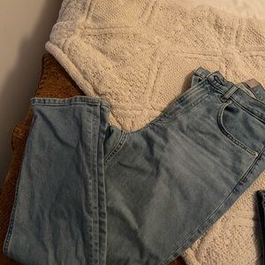 Everlane cheeky jean